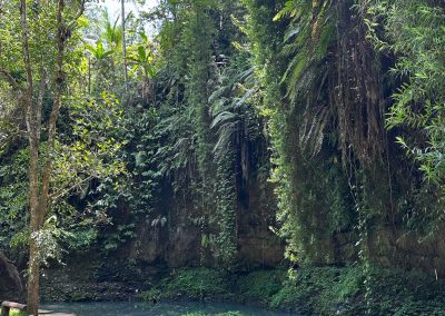 Air Terjun Ulu Petanu, Bali