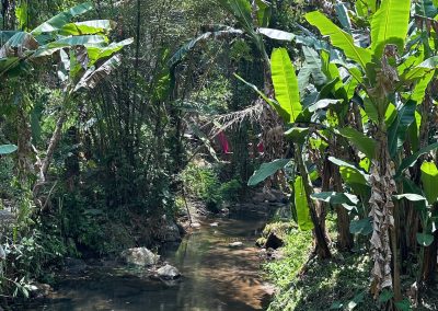 Air Terjun Ulu Petanu, Bali