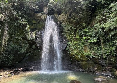 Air Terjun Ulu Petanu, Bali