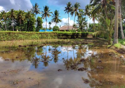 Campuhan Ridge, Bali