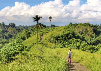 Campuhan Ridge, Bali