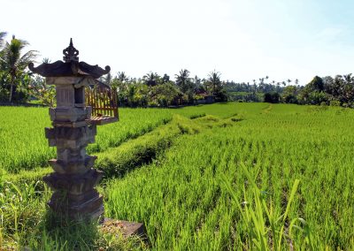 Campuhan Ridge, Bali