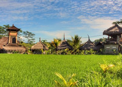 Campuhan Ridge, Bali