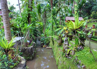 Campuhan Ridge, Bali