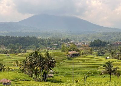 Jatiluwih Rice Terraces, Bali