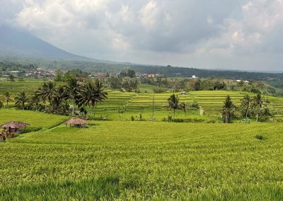 Jatiluwih Rice Terraces, Bali