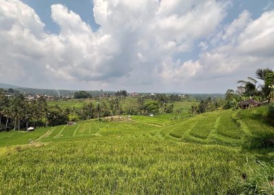 Jatiluwih Rice Terraces, Bali