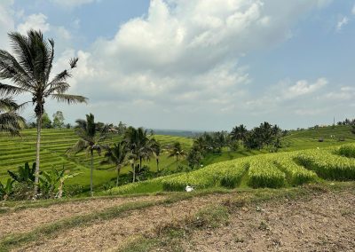 Jatiluwih Rice Terraces, Bali