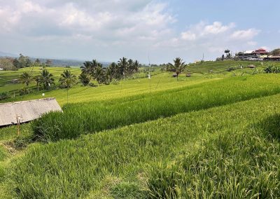 Jatiluwih Rice Terraces, Bali