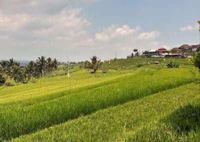 Jatiluwih Rice Terraces, Bali