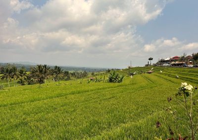 Jatiluwih Rice Terraces, Bali