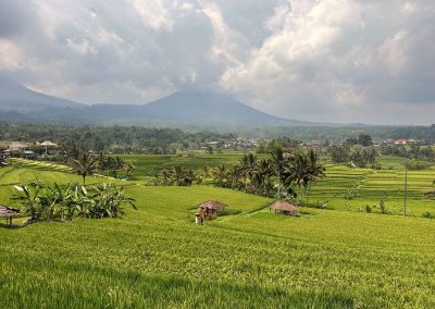 Jatiluwih Rice Terraces, Bali