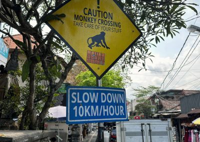 Monkey Forest, Ubud, Bali