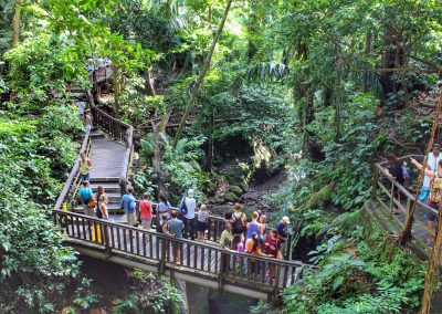 Monkey Forest, Ubud, Bali