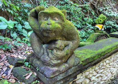 Monkey Forest, Ubud, Bali