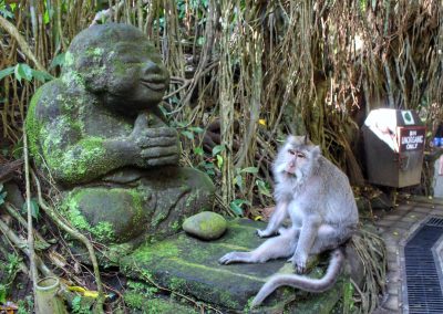 Monkey Forest, Ubud, Bali