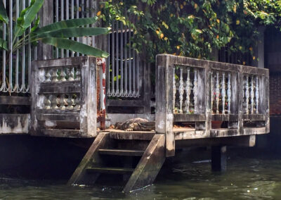 Chao Phraya, Bangkok