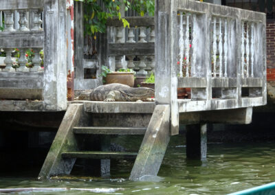 Chao Phraya, Bangkok