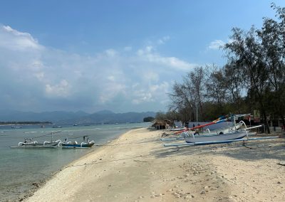 Turtle Shore, Gili Trawangan