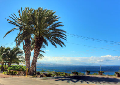 Hāmākua Macadamia Nut Company, Hawaii Island