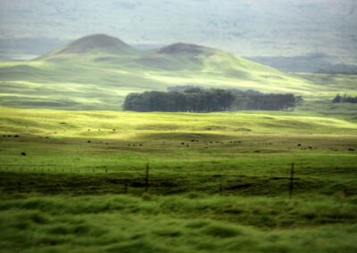 Parker Ranch, Hawaii Island