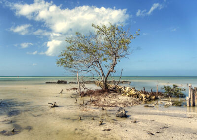 Playa Holbox, Holbox