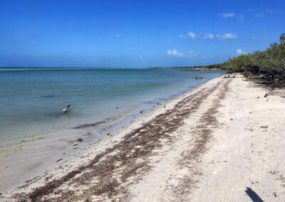 Playa Holbox, Holbox