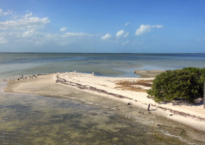 Three Island Tour, Holbox