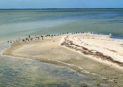 Three Island Tour, Holbox