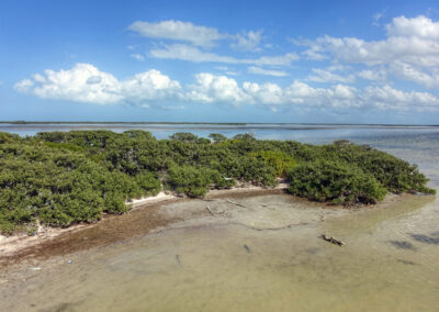 Three Island Tour, Holbox