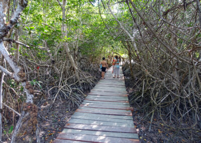 Three Island Tour, Holbox