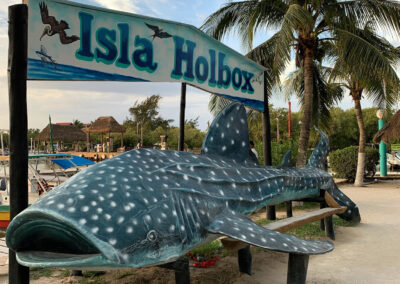 Transfer, Holbox