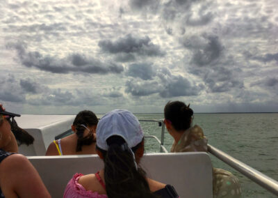 Transfer, Holbox