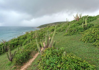 Trilha da Pedra Furada