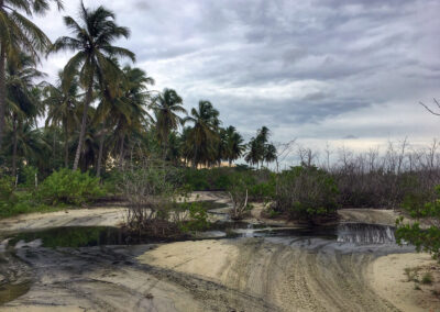 Transfer - Jericoacoara