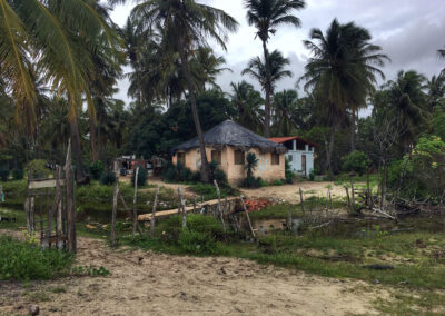 Transfer - Jericoacoara