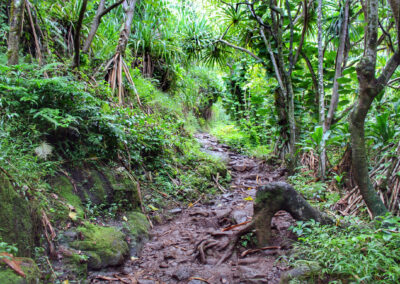 Kalalau Trail, Kauai