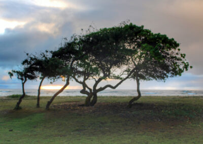 Kapaa, Kauai