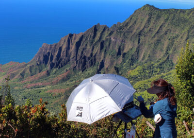 Kokee State Park, Kauai