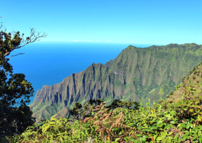 Kokee State Park, Kauai