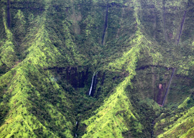 Kokee State Park, Kauai