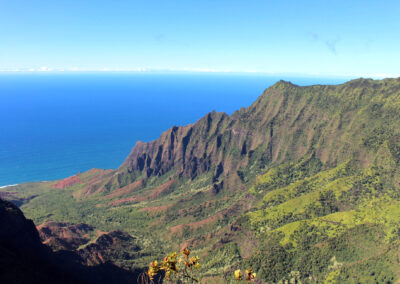 Kokee State Park, Kauai