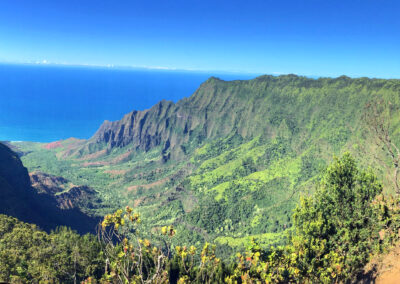 Panorama - Kokee State Park, Kauai