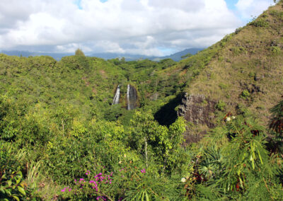 Opaekaa Falls, Kauai