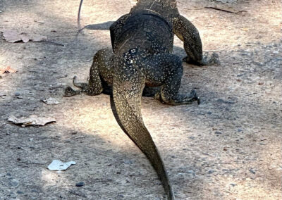 Mu Ko Lanta National Park, Ko Lanta