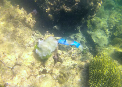 Snorkel Trips, Ko Lipe