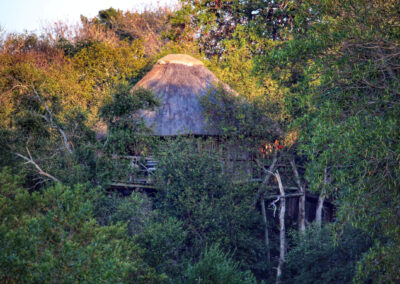 Marc's Treehouse Lodge, Greater Kruger National Park, South Africa