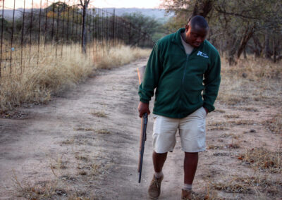 Morning Bush Walk - Greater Kruger National Park, South Africa