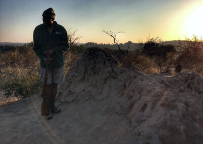 Termite mound - Greater Kruger National Park, South Africa