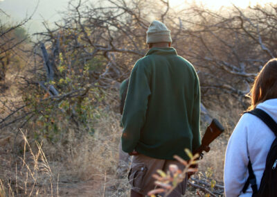 Morning Bush Walk - Greater Kruger National Park, South Africa